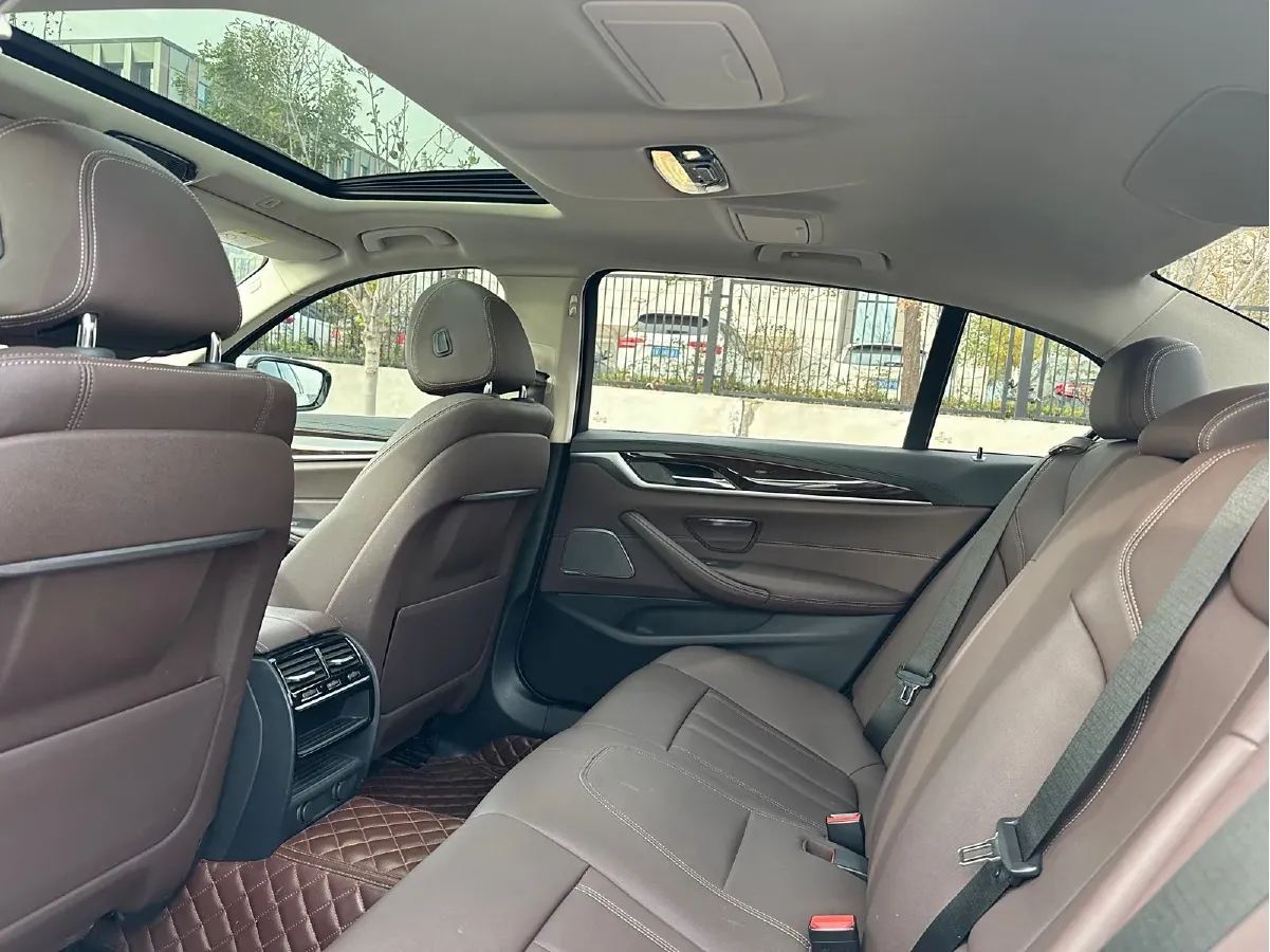2019 BMW 5 Series 2.0T 184HP L4 8AT,autocango,china used car exporter,china ev exporter,chinese used car exporter,chinese used ev exporter