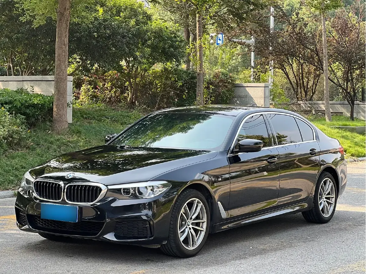 2020 BMW 5 Series 2.0T 184HP L4 8AT