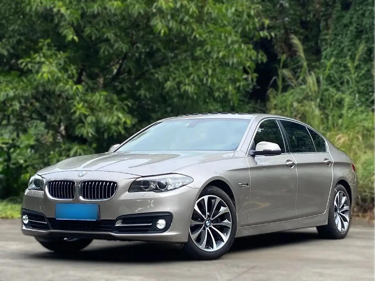 2017 BMW 5 Series 2.0T 218HP L4 8AT