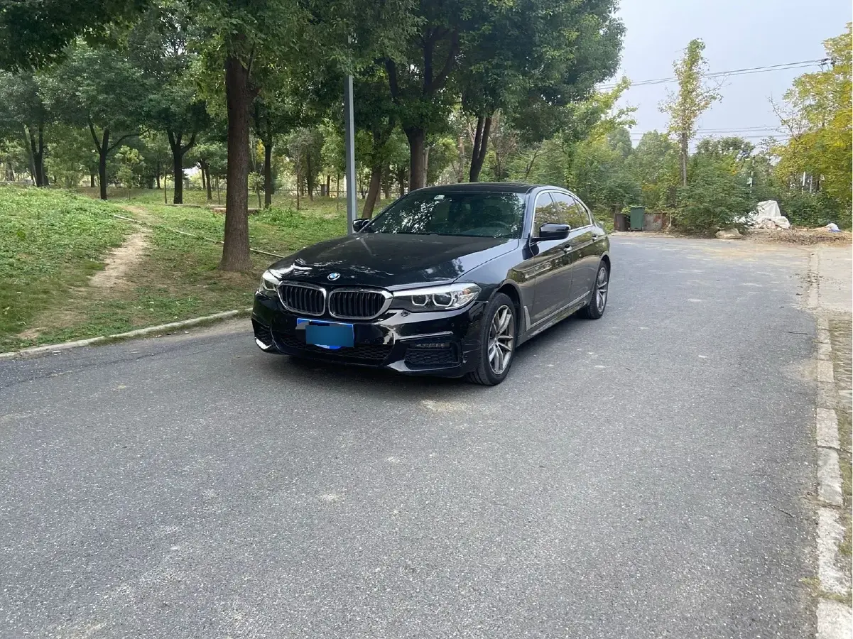 2019 BMW 5 Series 2.0T 184HP L4 8AT