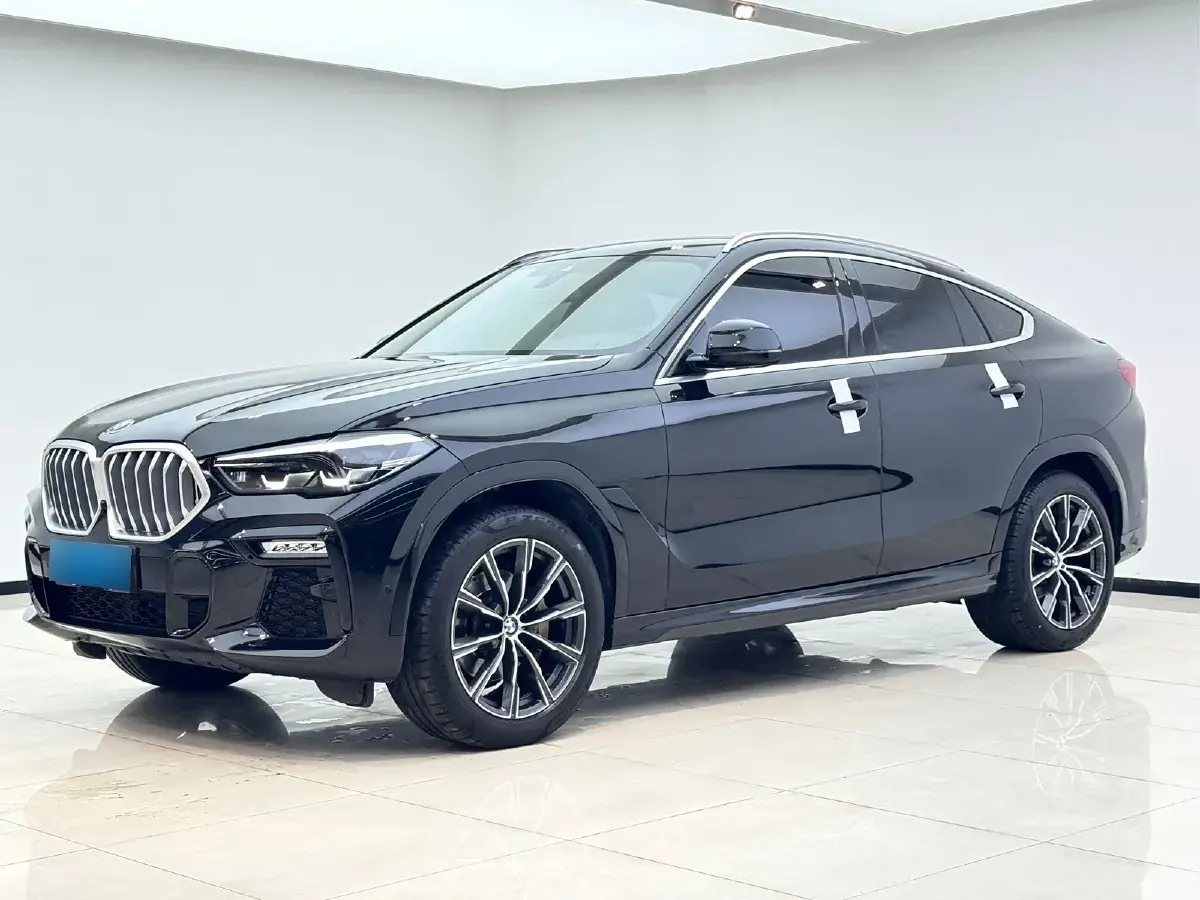 2020 BMW X6 2.0T 265HP L4 8AT