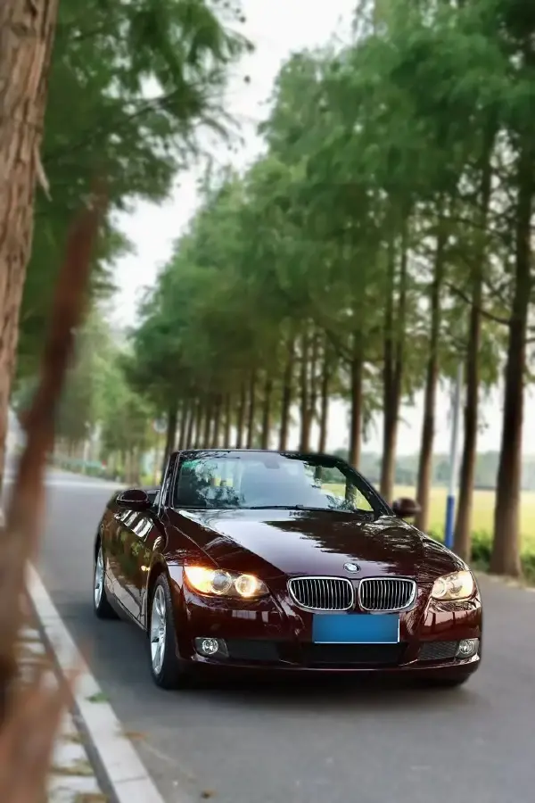 2009 BMW 3 Series 3.0L 258HP L6 6AT