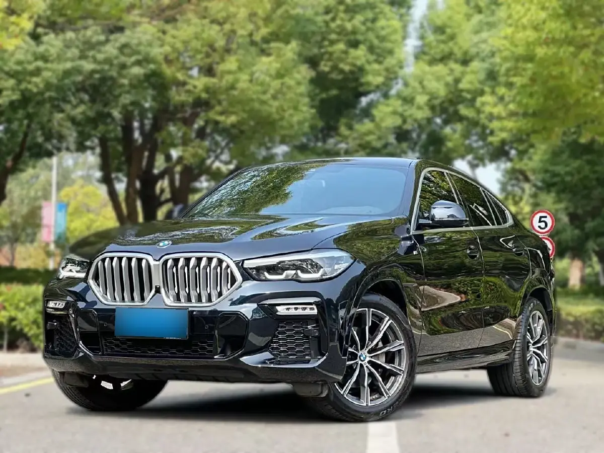 2021 BMW X6 2.0T 265HP L4 8AT