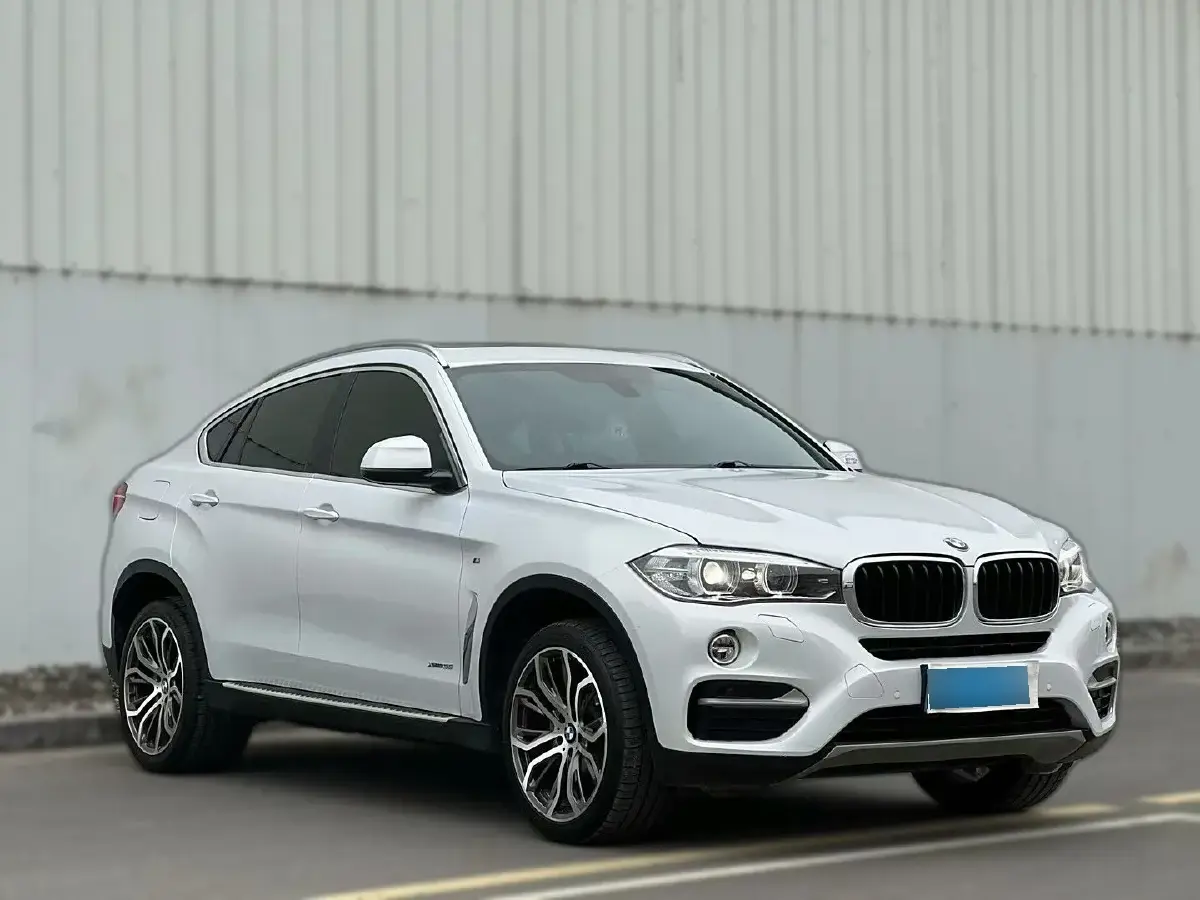 2015 BMW X6 3.0T 306HP L6 8AT