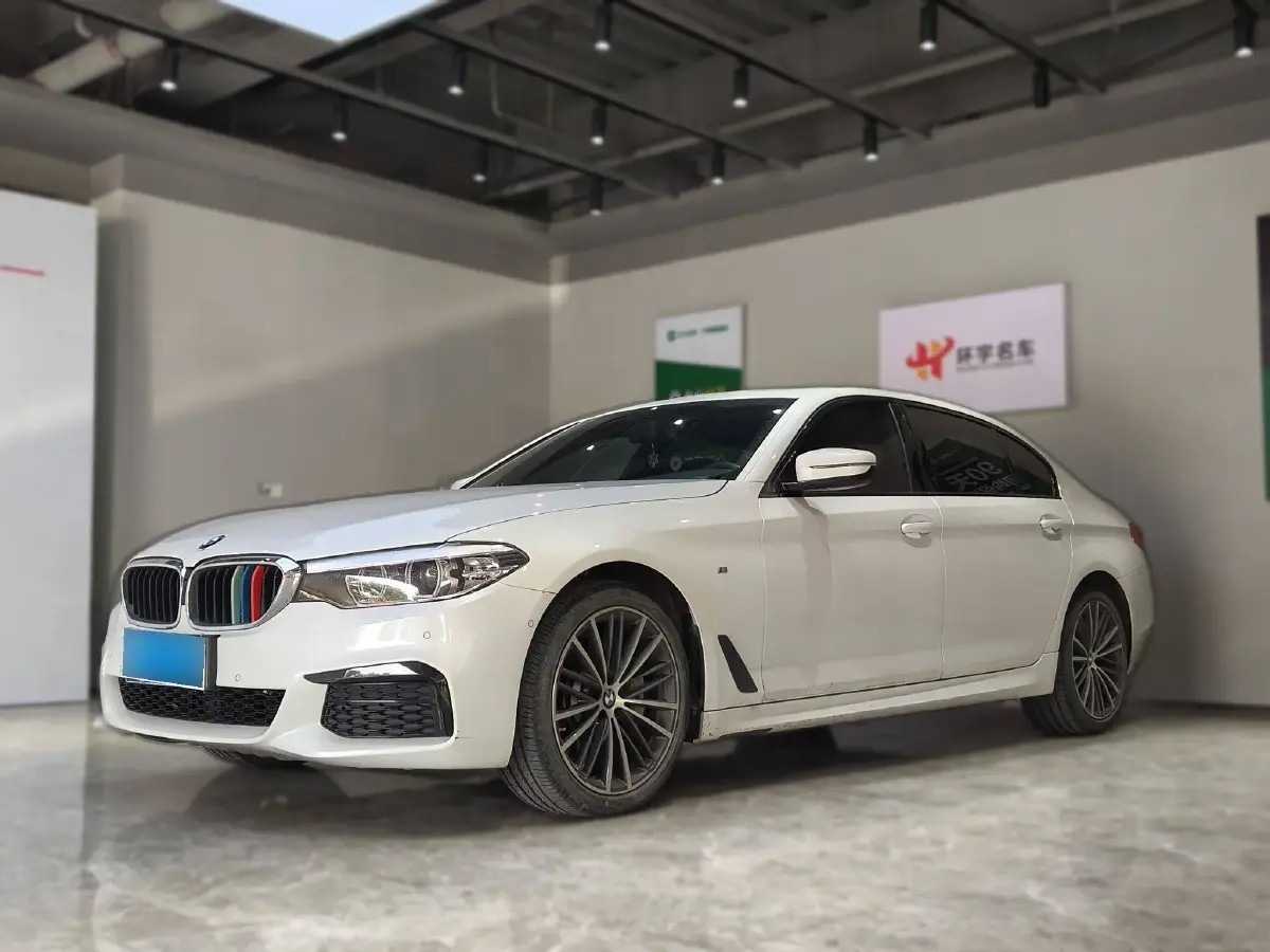 2019 BMW 5 Series 2.0T 252HP L4 8AT