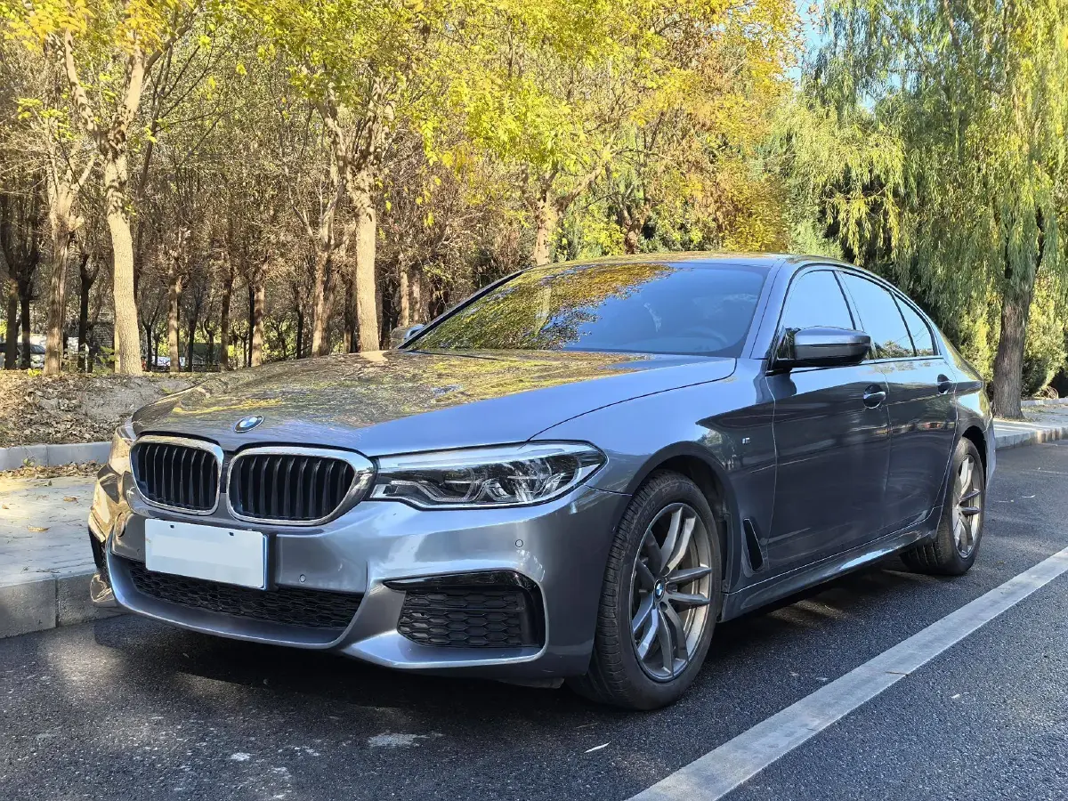 2020 BMW 5 Series 2.0T 184HP L4 8AT