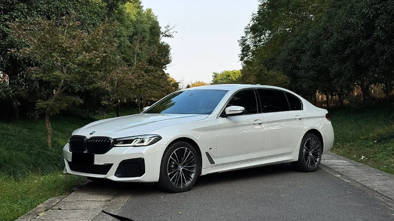 2021 BMW 5 Series 2.0T 252HP L4 8AT