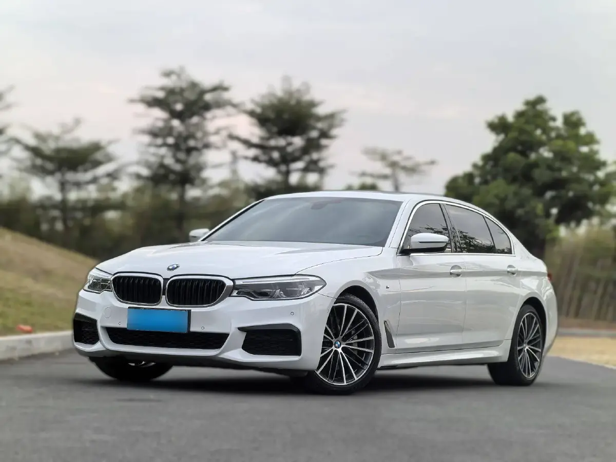 2020 BMW 5 Series 2.0T 252HP L4 8AT
