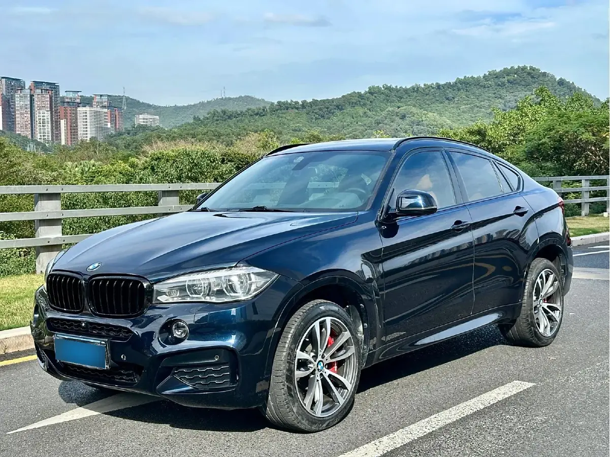 2017 BMW X6 3.0T 306HP L6 8AT