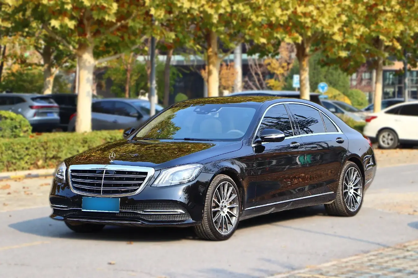 2019 Mercedes-Benz S Class 3.0T 367HP V6 9AT