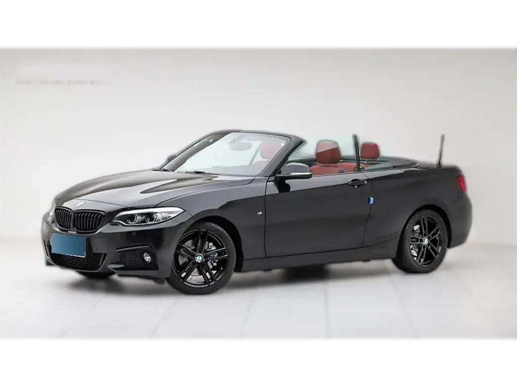 2019 BMW 2 Series 2.0T 184HP L4 8AT