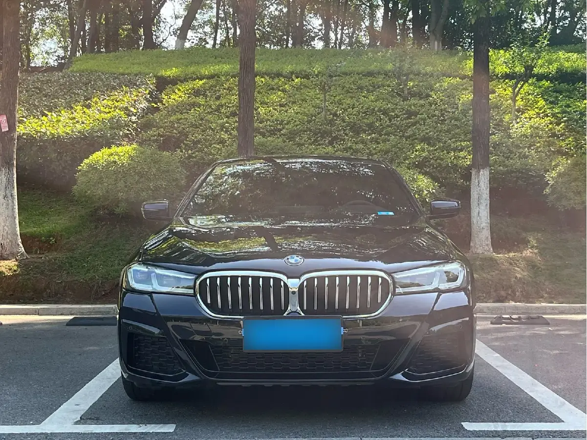 2022 BMW 5 Series 2.0T 252HP L4 8AT