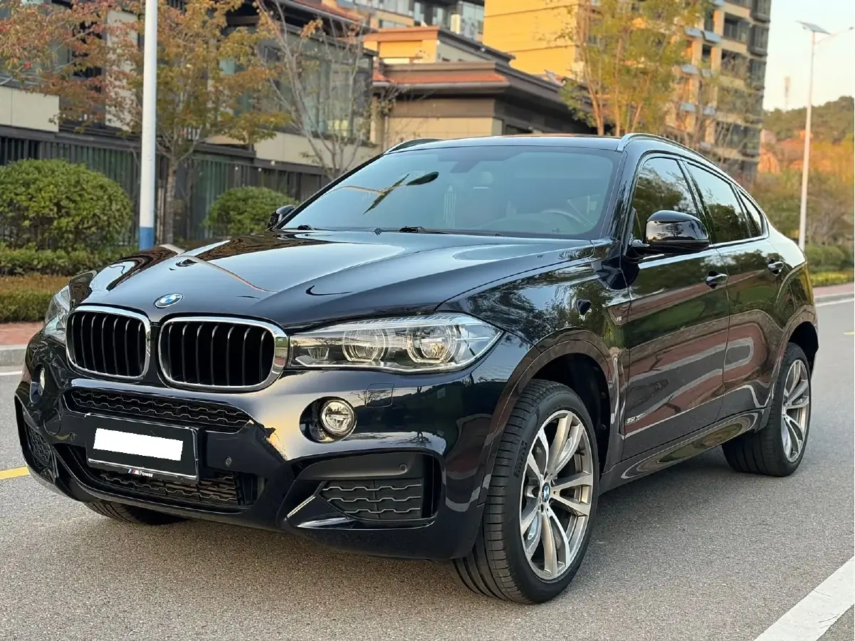 2018 BMW X6 3.0T 306HP L6 8AT