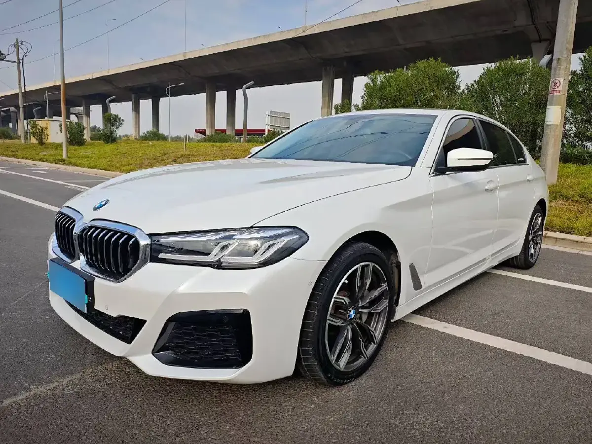 2018 BMW 5 Series 2.0T 224HP L4 8AT