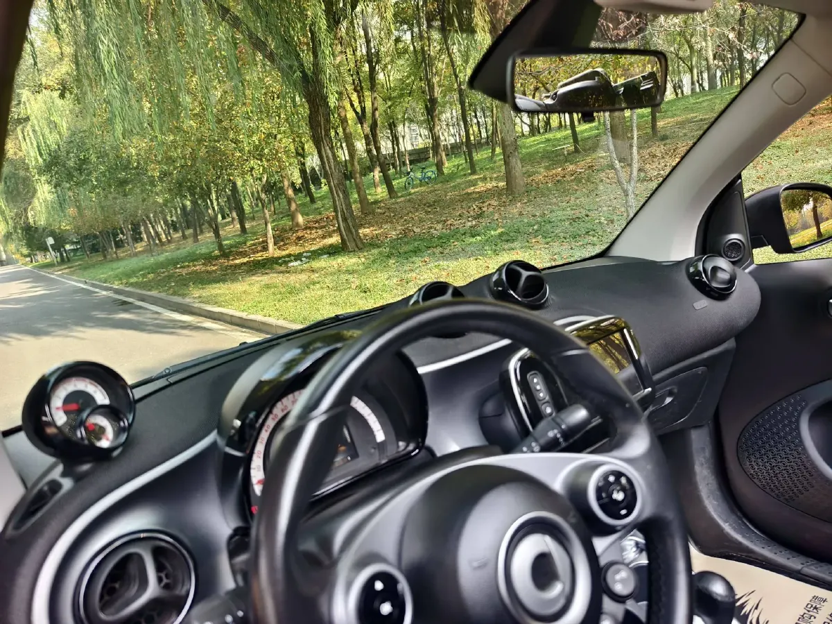 2016 Smart smart fortwo 0.9T 90HP L3 6DCT,autocango,china used car exporter,china ev exporter,chinese used car exporter,chinese used ev exporter