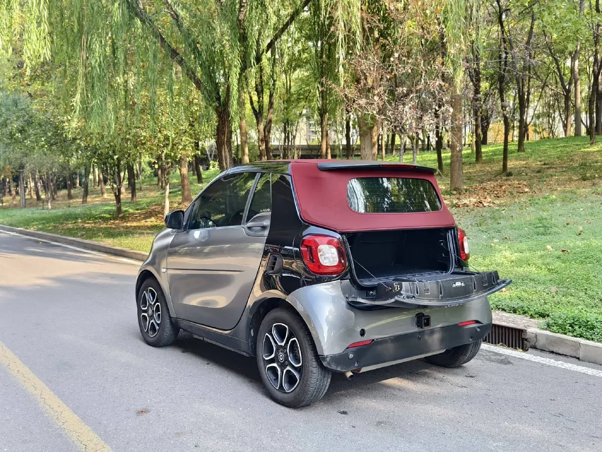2016 Smart smart fortwo 0.9T 90HP L3 6DCT,autocango,china used car exporter,china ev exporter,chinese used car exporter,chinese used ev exporter