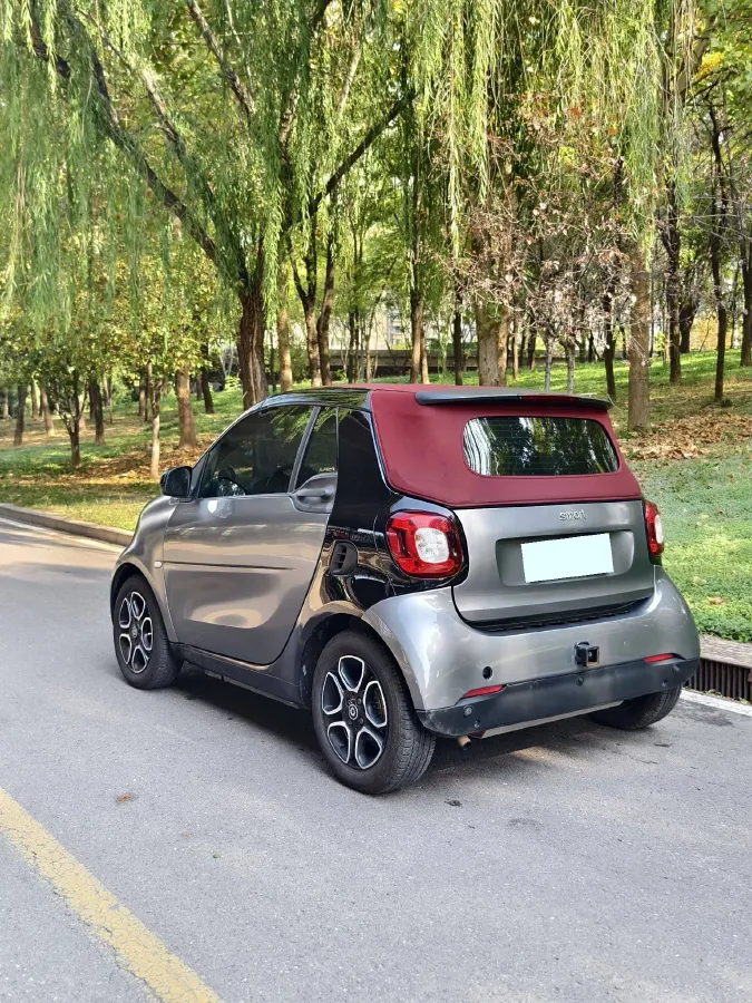 2016 Smart smart fortwo 0.9T 90HP L3 6DCT,autocango,china used car exporter,china ev exporter,chinese used car exporter,chinese used ev exporter