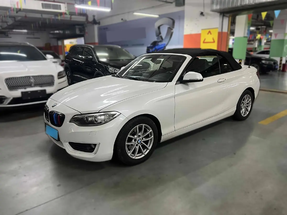 2015 BMW 2 Series 1.5T 136HP L3 8AT