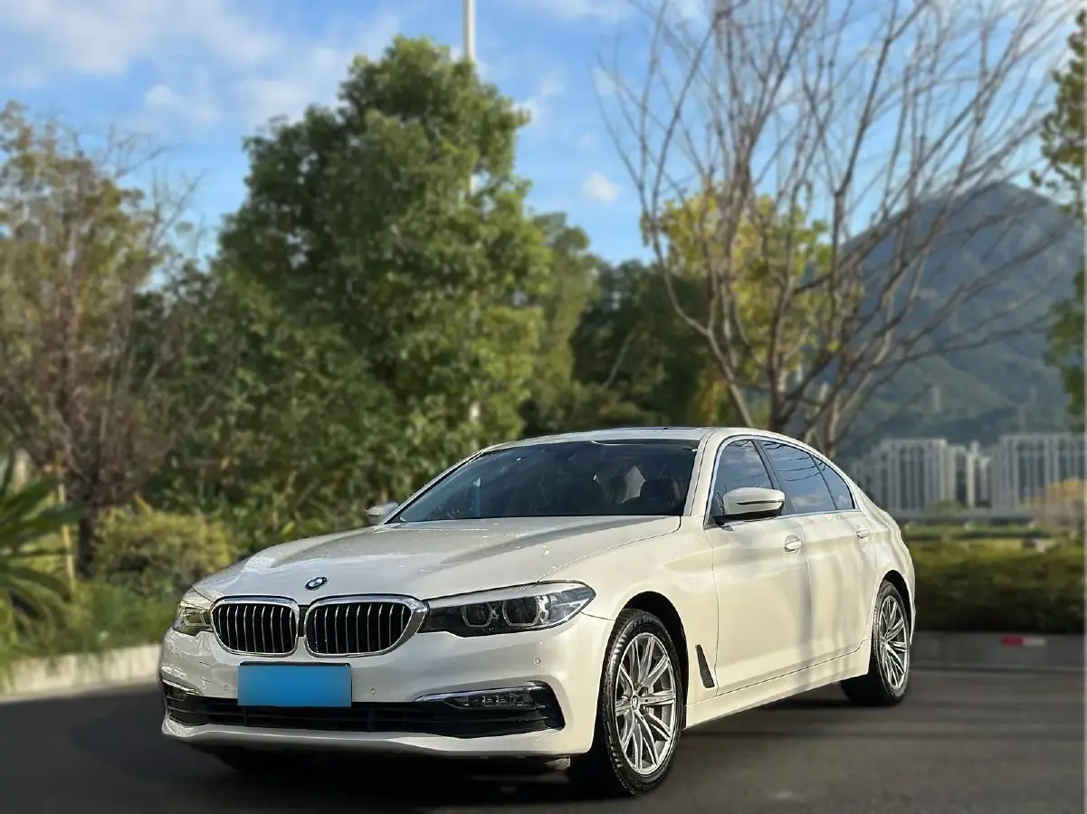 2018 BMW 5 Series 2.0T 224HP L4 8AT