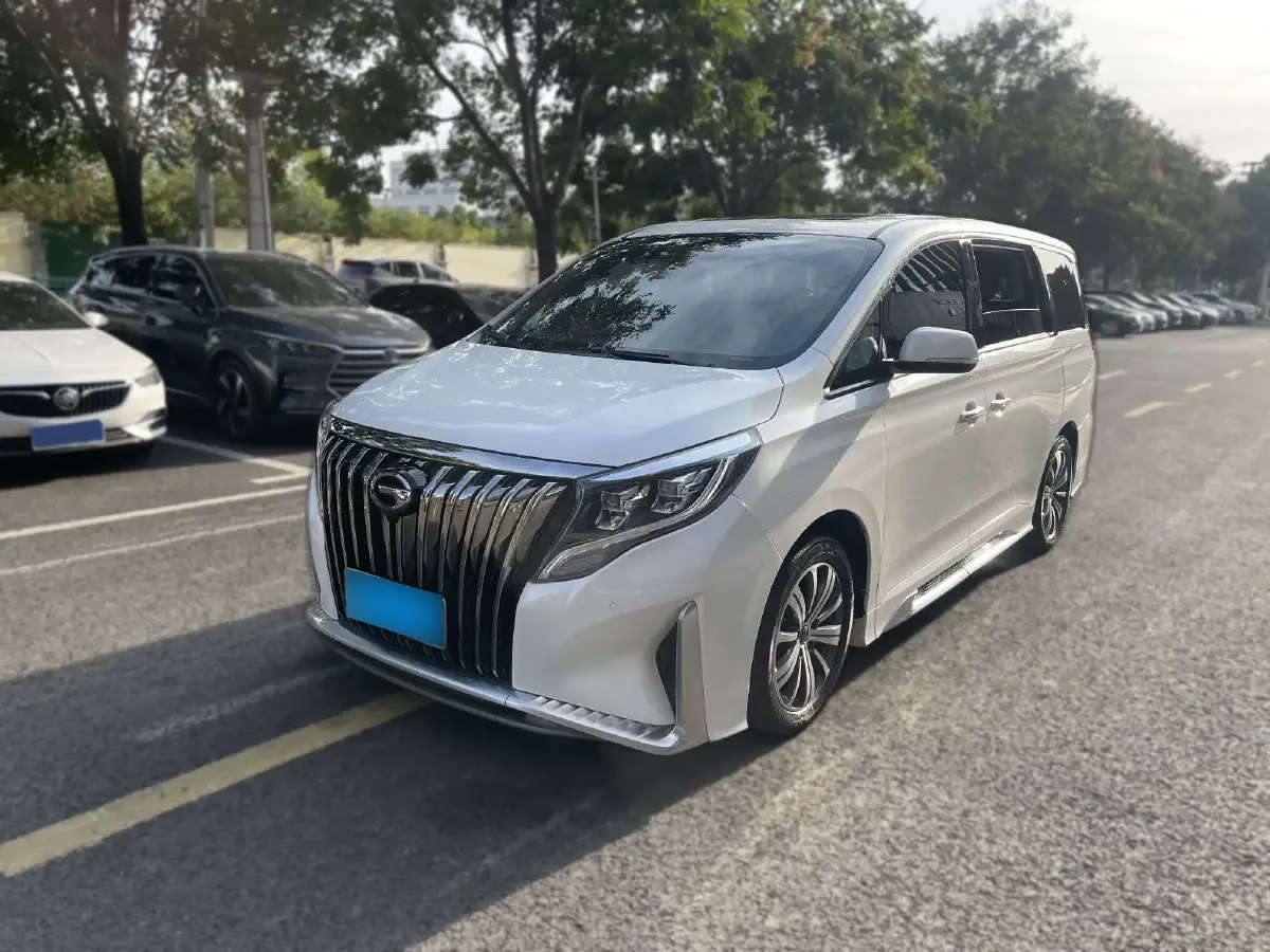 2020 GAC Trumpchi M8 2.0T 252HP L4 8AT