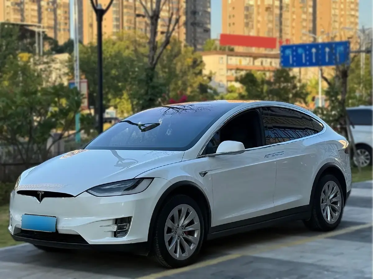 2019 Tesla Model X BEV 100KWH