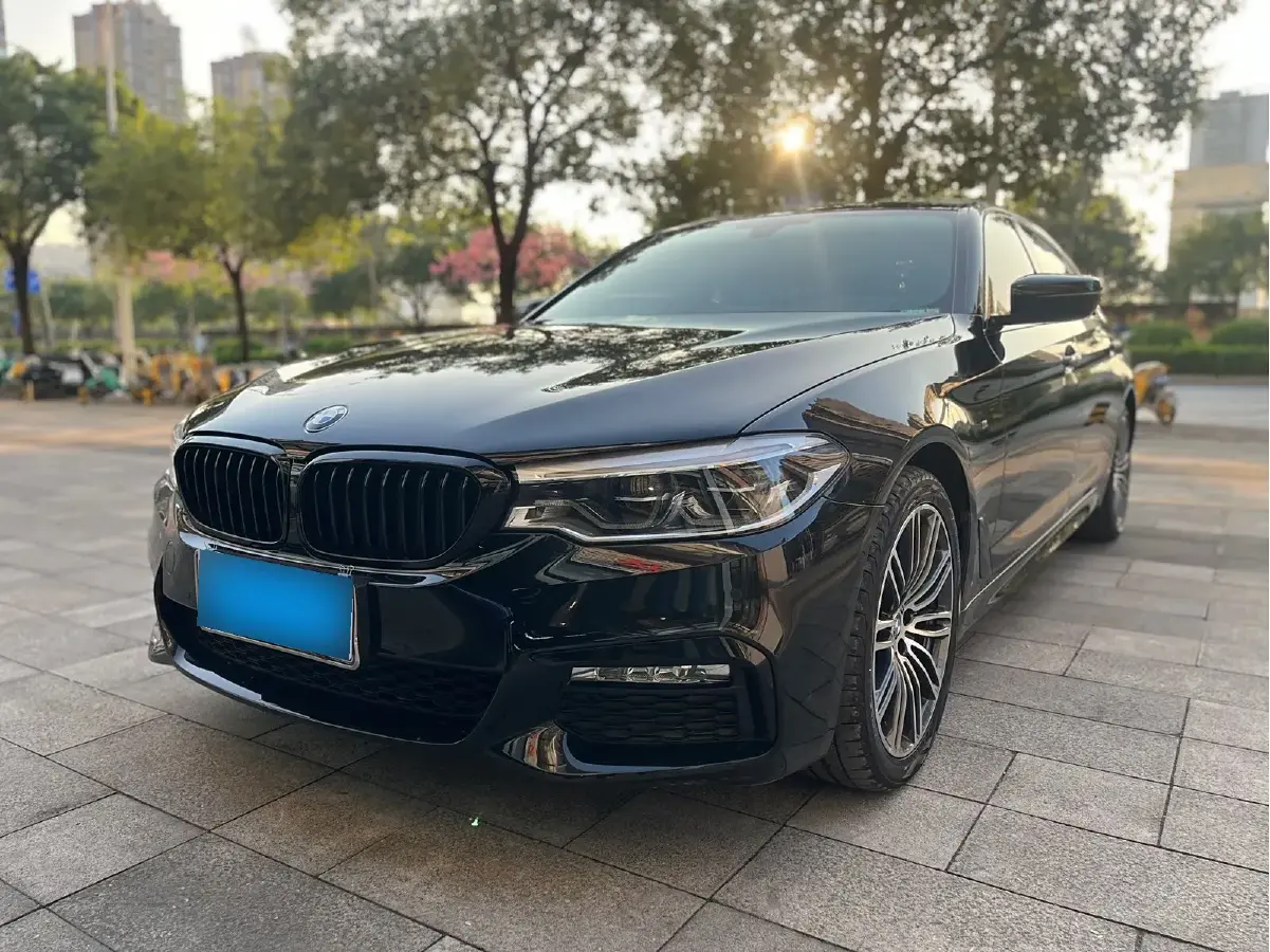 2018 BMW 5 Series 2.0T 252HP L4 8AT