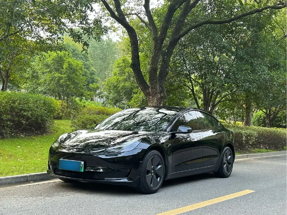 2021 Tesla Model 3 BEV 55KWH