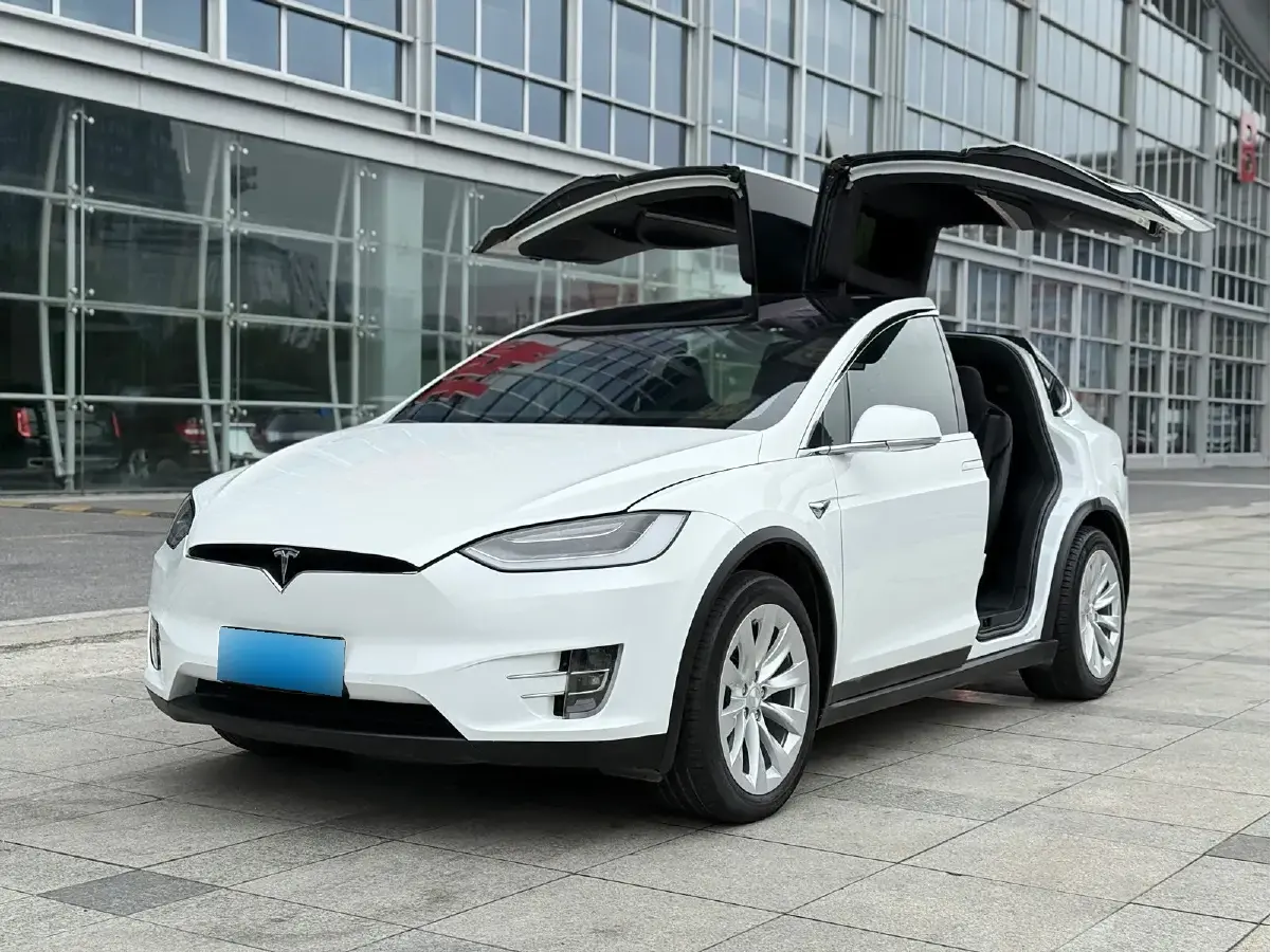 2019 Tesla Model X BEV 100KWH