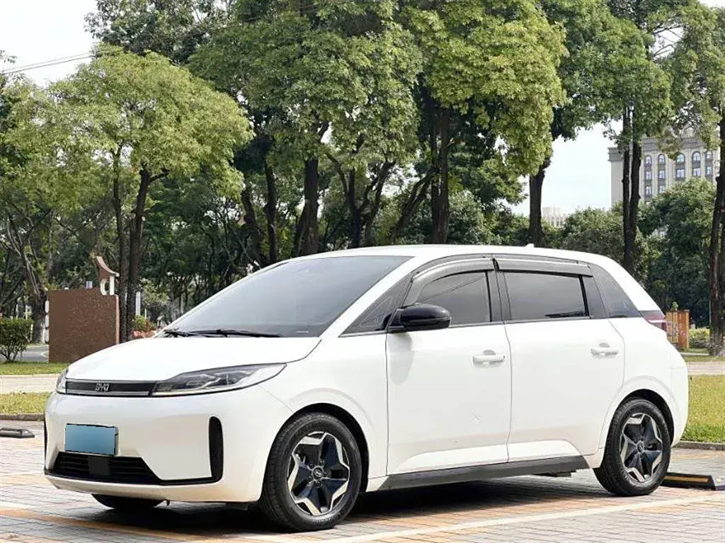 2021 BYD D1 BEV 53.6KWH