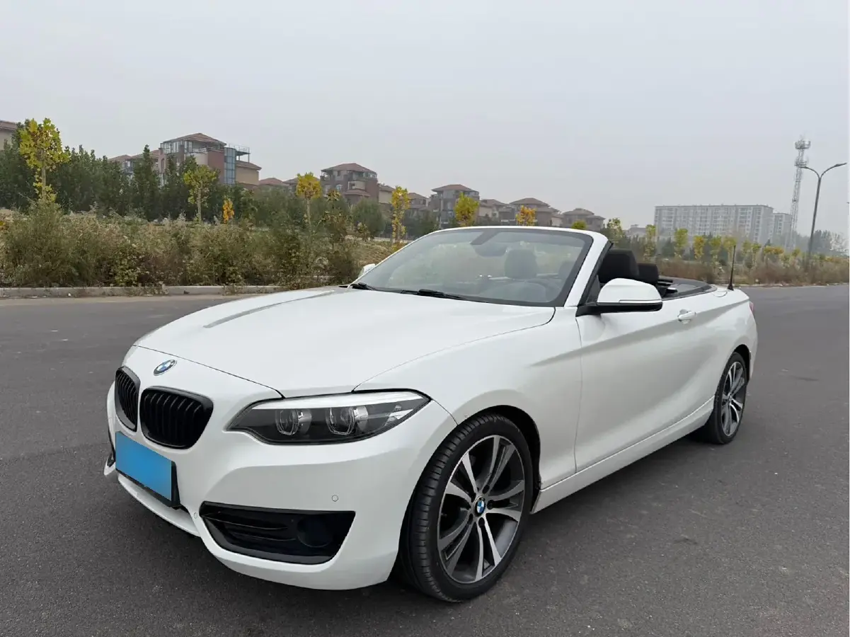 2019 BMW 2 Series 2.0T 184HP L4 8AT