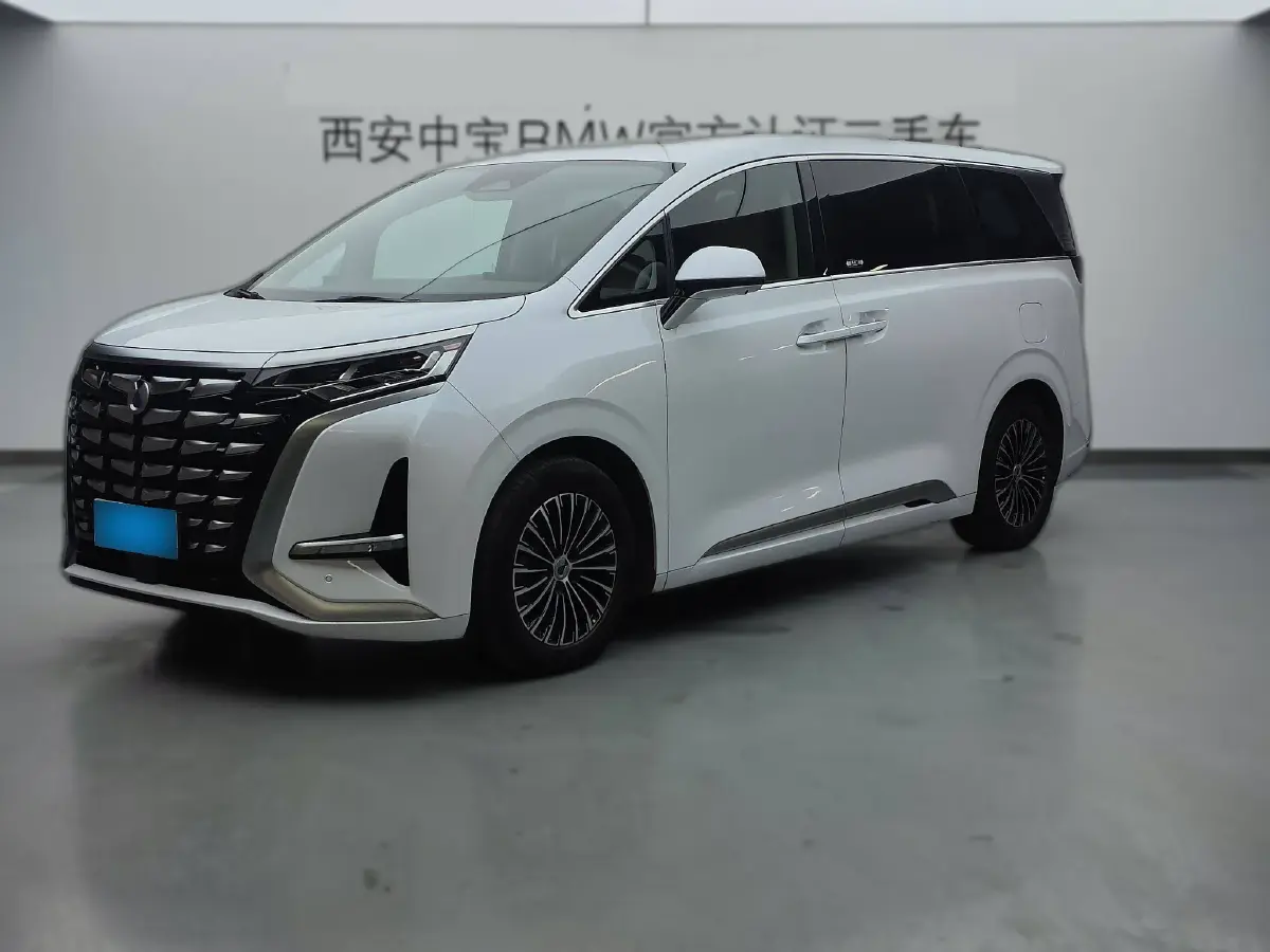 2022 Denza D9 1.5T 139HP L4 E-CVT PHEV 40.06KWH