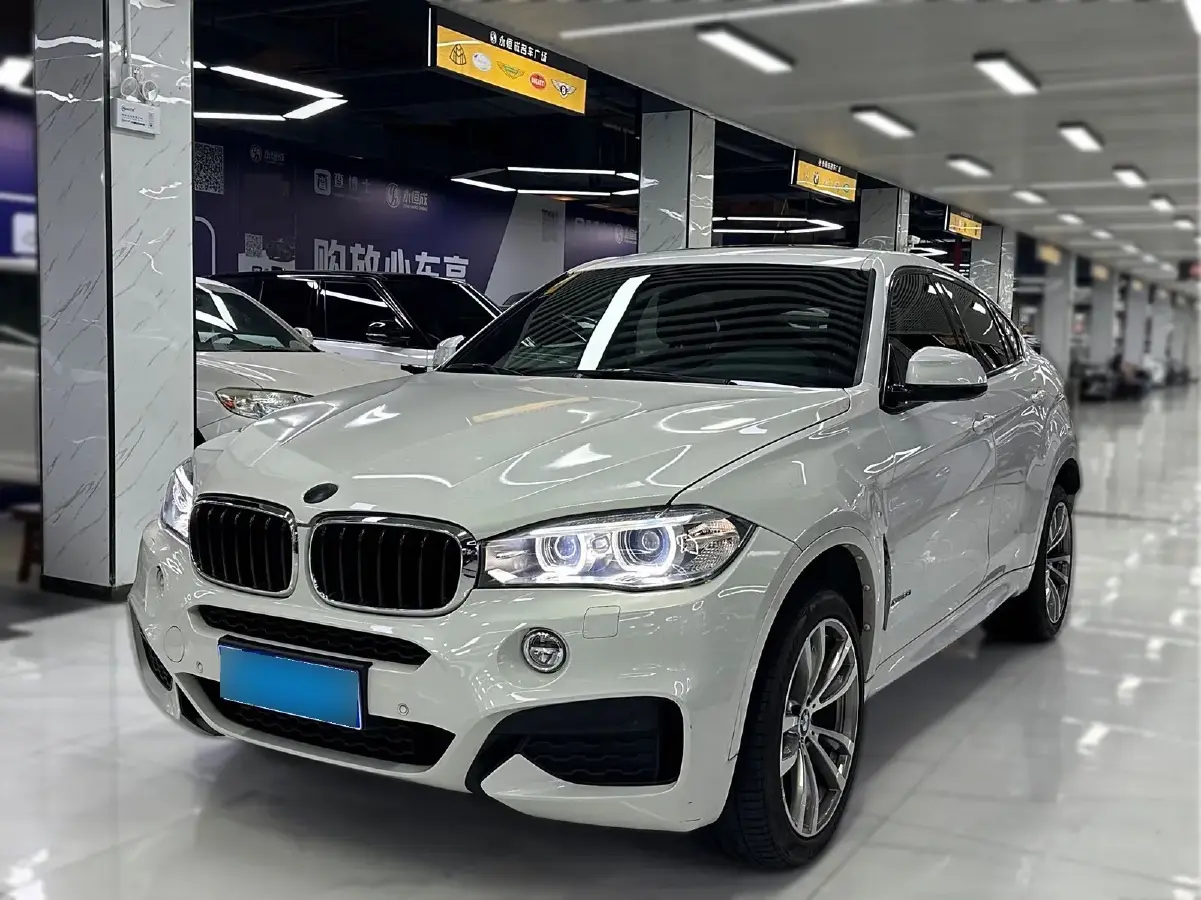 2019 BMW X6 2.0T 245HP L4 8AT