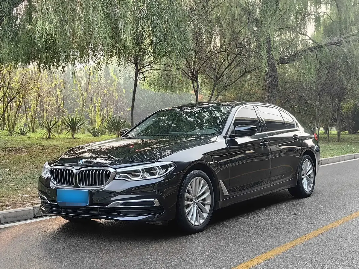 2020 BMW 5 Series 2.0T 252HP L4 8AT