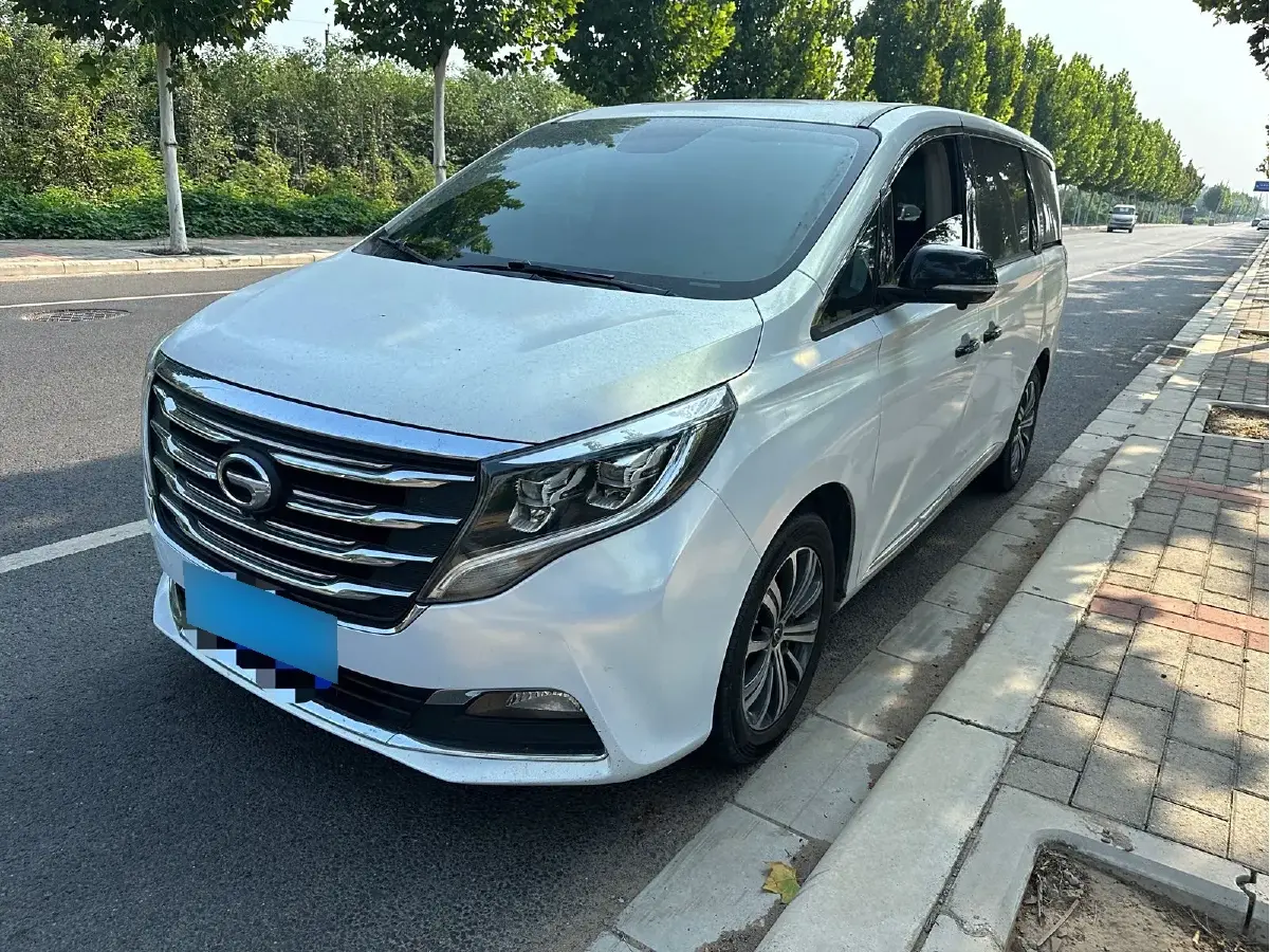 2018 GAC Trumpchi M8 2.0T 201HP L4 6AT