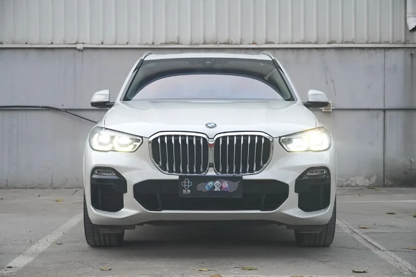 2020 BMW X5 3.0T 340HP L6 8AT,autocango,china used car exporter,china ev exporter,chinese used car exporter,chinese used ev exporter