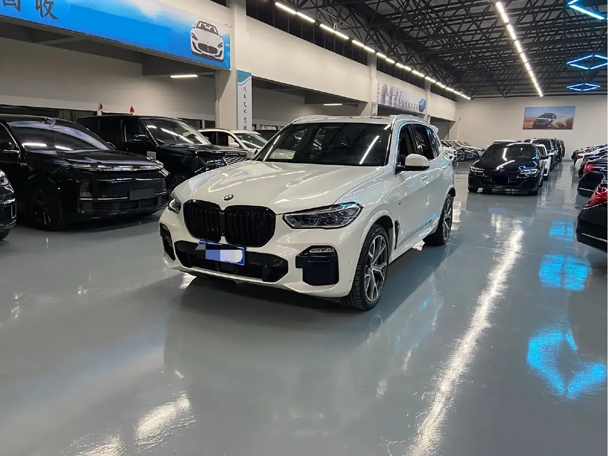 2019 BMW X5 3.0T 340HP L6 8AT