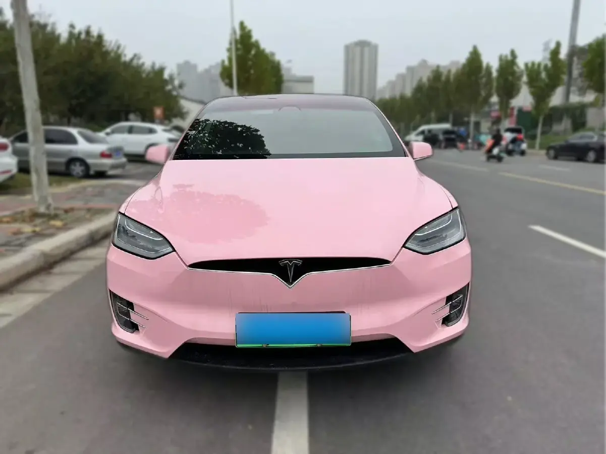 2019 Tesla Model X BEV 75KWH