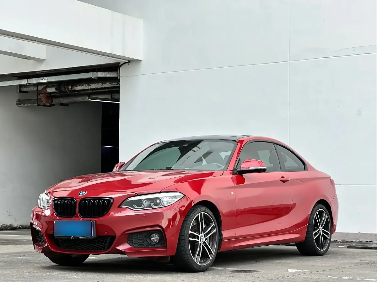 2019 BMW 2 Series 2.0T 184HP L4 8AT