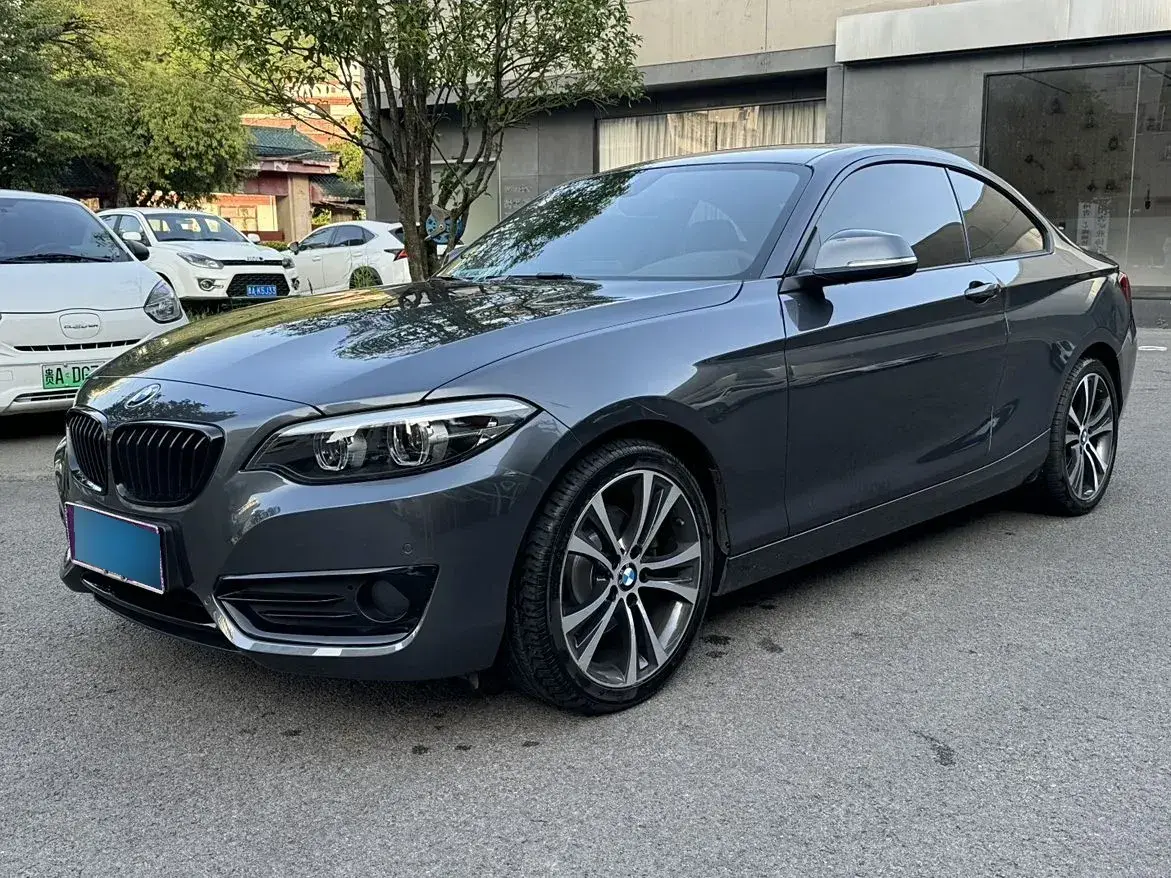 2019 BMW 2 Series 2.0T 184HP L4 8AT