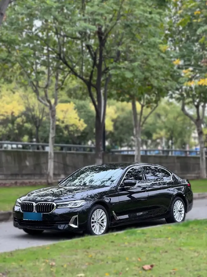 2021 BMW 5 Series 2.0T 184HP L4 8AT