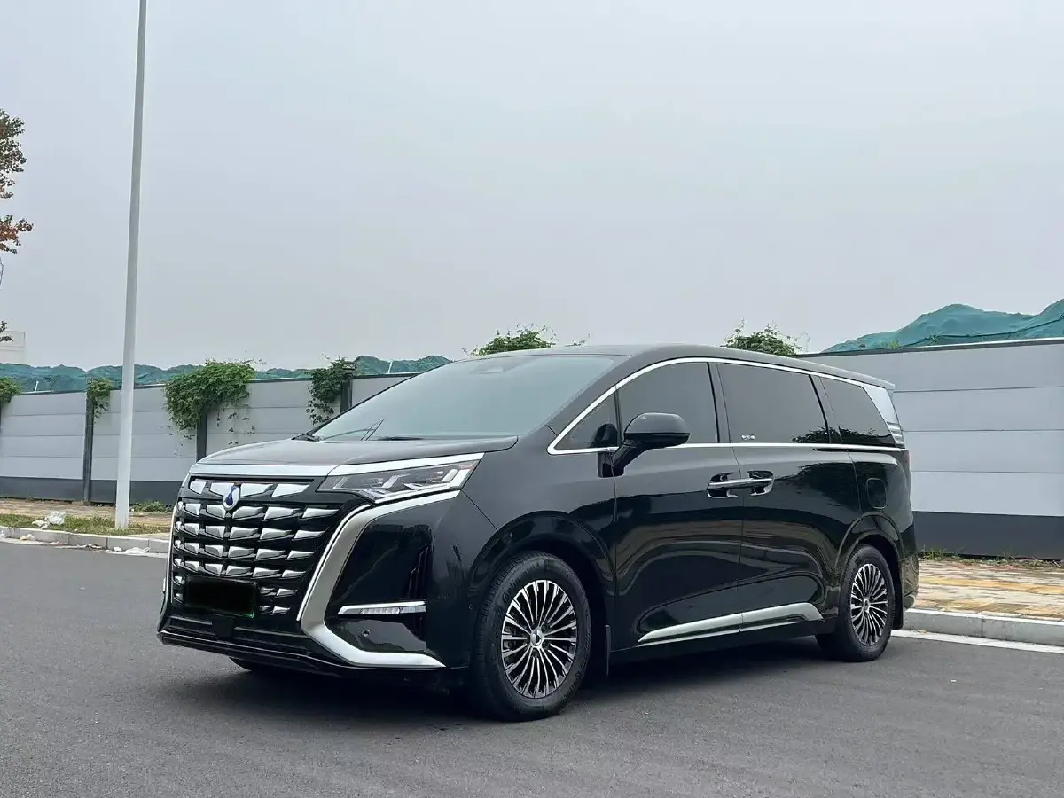 2022 Denza D9 1.5T 139HP L4 E-CVT PHEV 40.06KWH