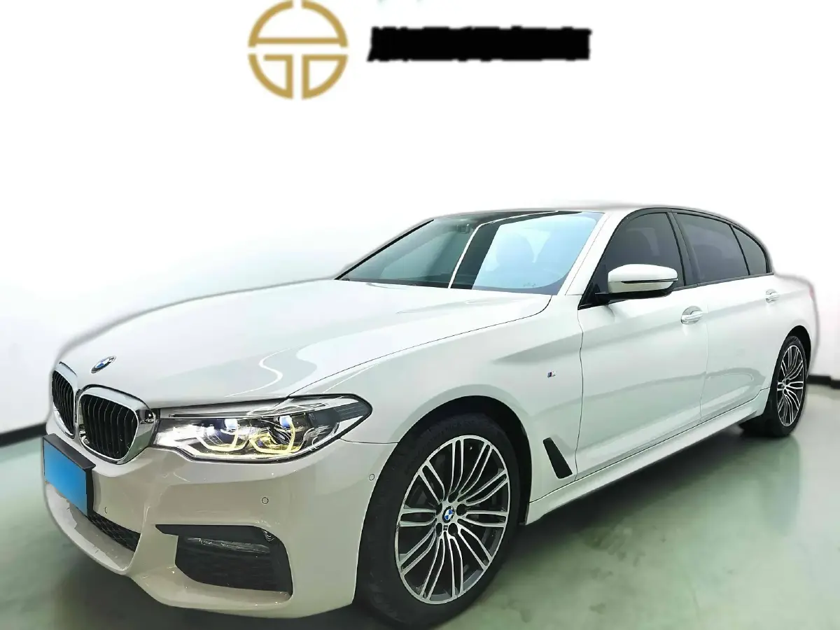 2018 BMW 5 Series 2.0T 252HP L4 8AT