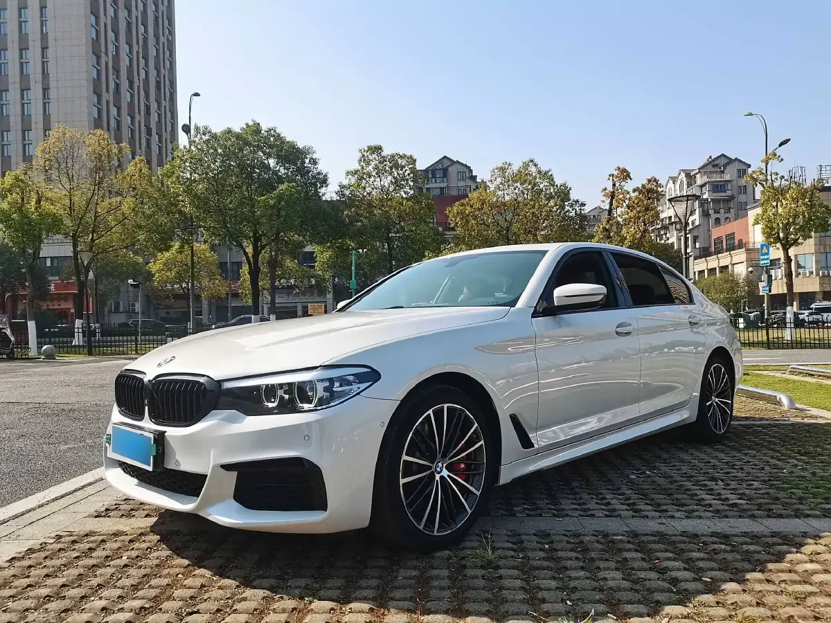 2019 BMW 5 Series 2.0T 252HP L4 8AT