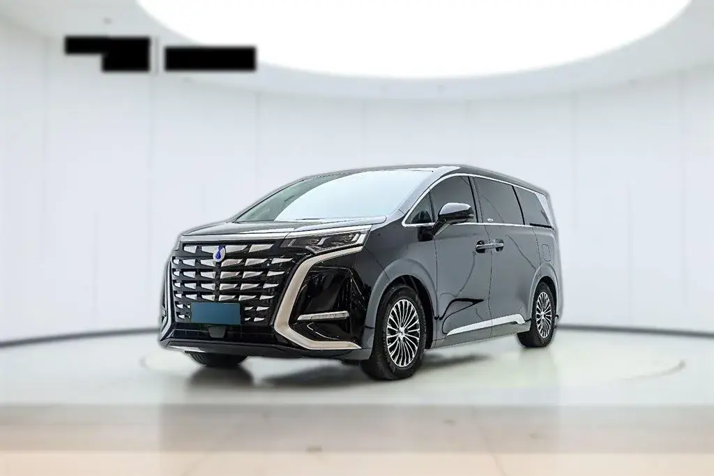 2022 Denza D9 1.5T 139HP L4 E-CVT PHEV 40.06KWH