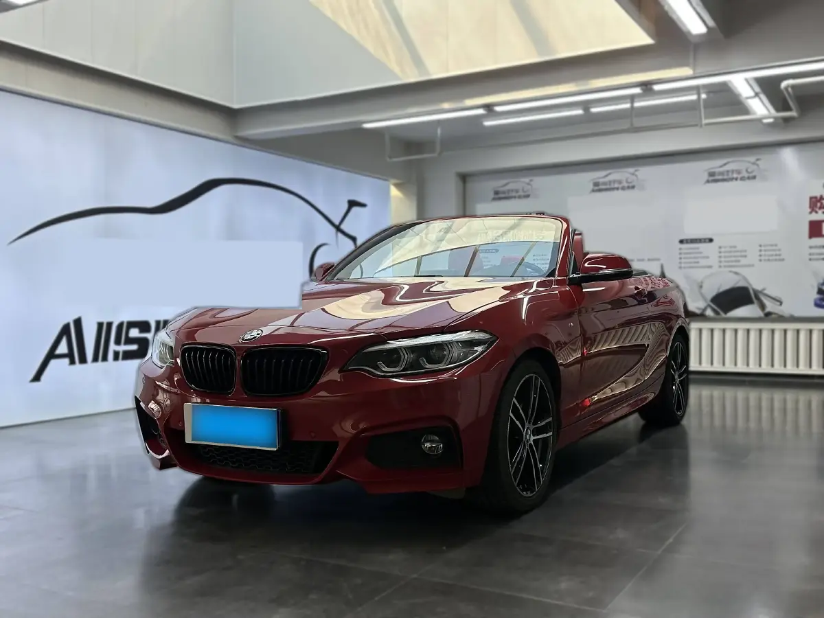 2019 BMW 2 Series 2.0T 184HP L4 8AT