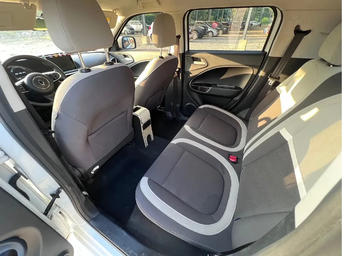 2020 Ora WhiteCat BEV 29.4KWH,autocango,china used car exporter,china ev exporter,chinese used car exporter,chinese used ev exporter