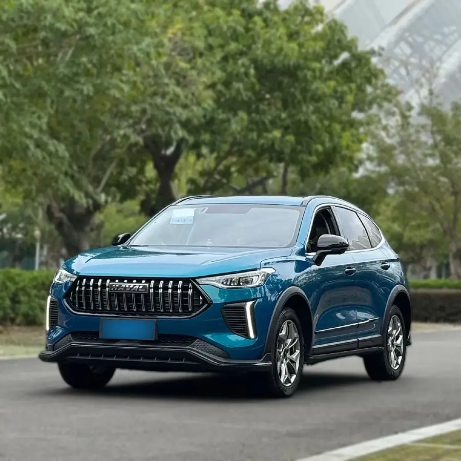 2022 Haval Rabbit 1.5T 150HP L4 7DCT