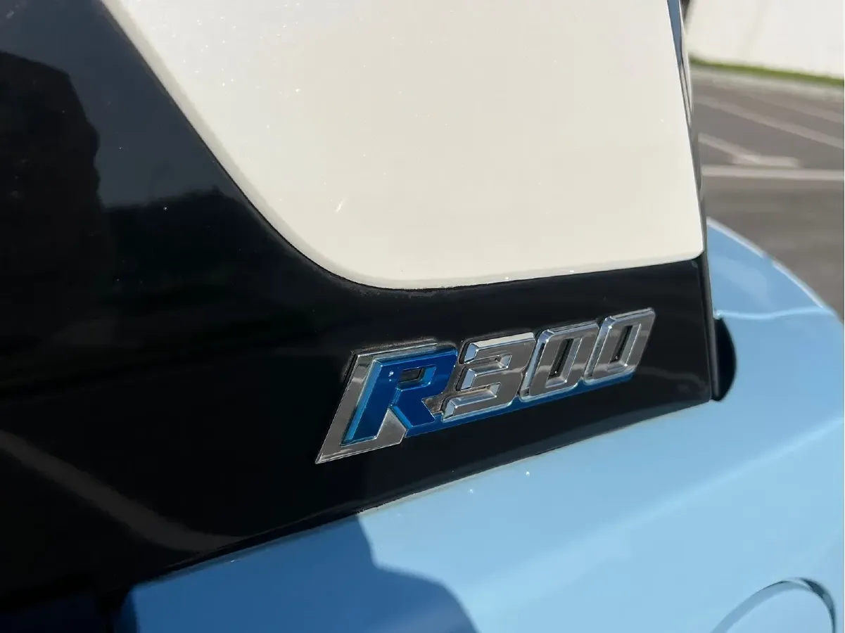 2019 LITE LITE BEV 30KWH,autocango,china used car exporter,china ev exporter,chinese used car exporter,chinese used ev exporter