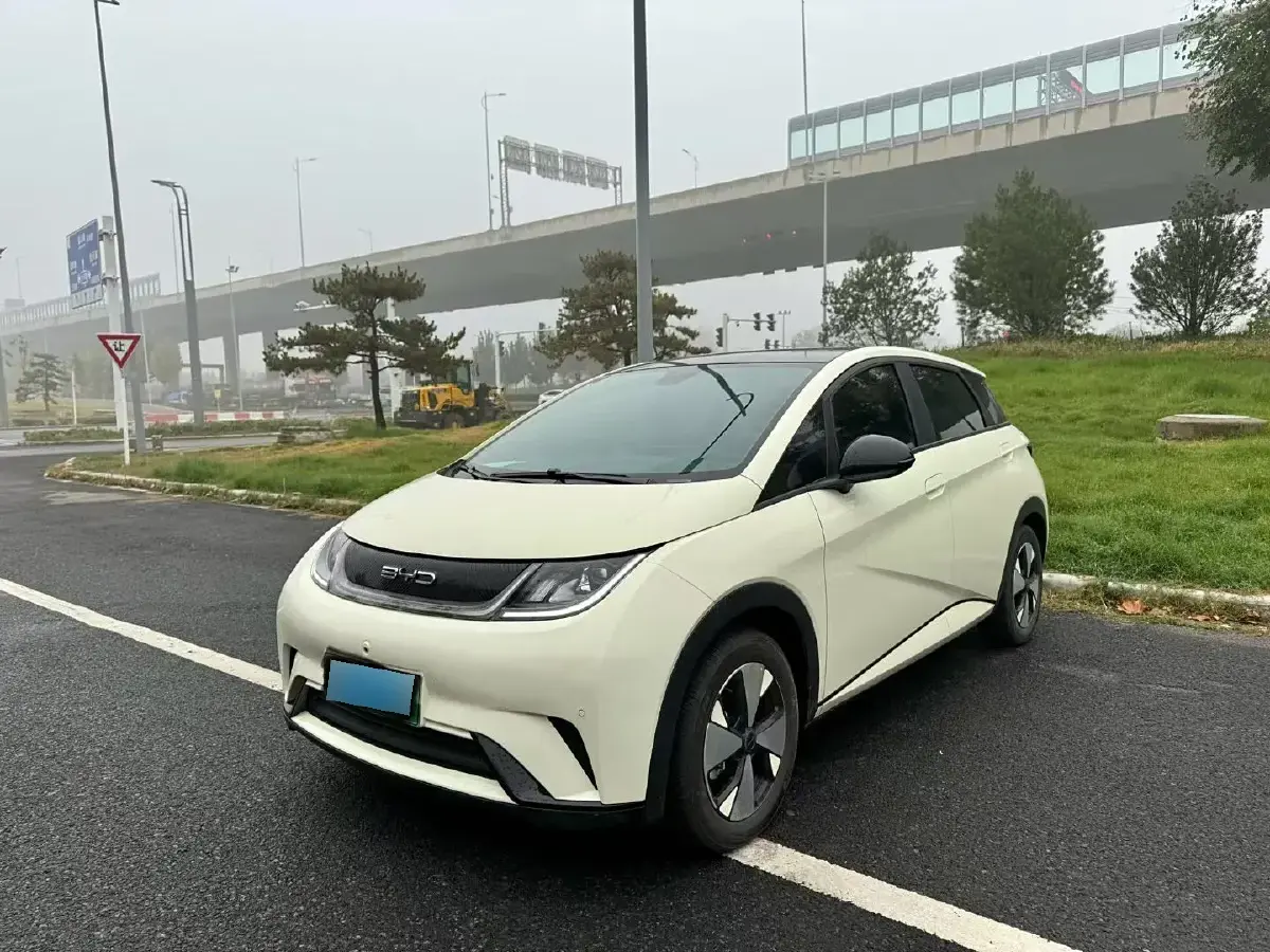 2023 BYD Dolphin BEV 44.928KWH