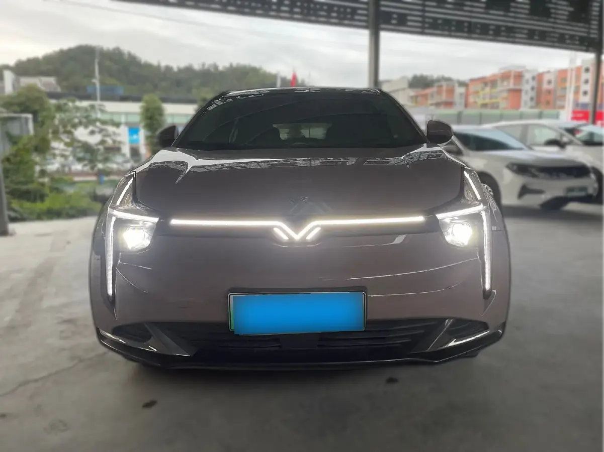 2022 Neta U BEV 55.8KWH